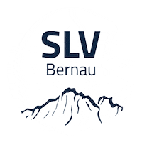 Cross-Country Skiing Sport Sticker by infomax
