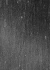 rainy day night GIF