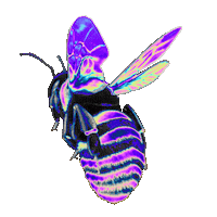 Color Fly Sticker by Dinaaaaaah