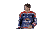 Ducs Dangers Hockey Sticker by Les Ducs d'Angers
