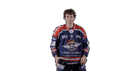 Ducs Dangers Hockey Sticker by Les Ducs d'Angers