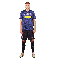 Feg Sticker by Fortuna Entertainment Group