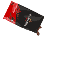 Chocolate Chef Sticker by Valrhona USA