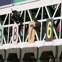 TwinSpires twinspires horseracing satrtingate churchilldowns betting louisville kentucky kyderby kentucky GIF