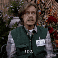 i do showtime GIF by Shameless