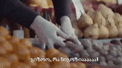 GIF by TBC insurance