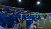 Blue Jays Baseball GIF by Toronto Blue Jays