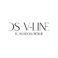 dsvlineicanadolu dsvline dsvlineiçanadolu içanadoludsvline dsvline iç anadolu Sticker