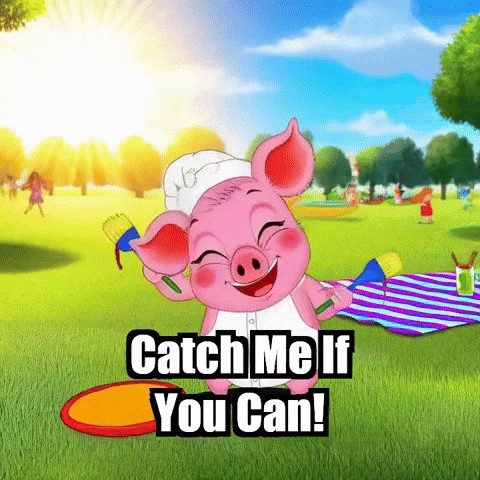 Catch Me If You Can Summer GIF by The Pigasso