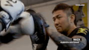 viceland GIF by Black Market