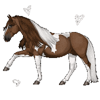 Horse Cheval Sticker