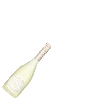 PaleFox flowers pop champagne sparkling Sticker