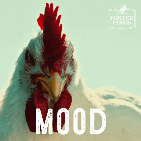 fosterfarms giphyupload reaction mood chicken GIF