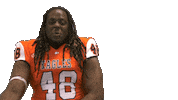 Head Shake Sticker by Carson-Newman Athletics