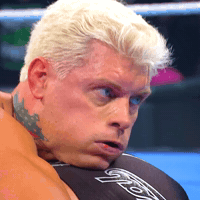 Oh No What GIF by WWE