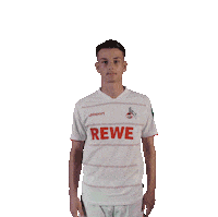 Soccer Sticker Sticker by 1. FC Köln