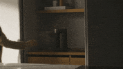 GIF by EQUA