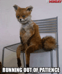 GIF by FirstAndMonday