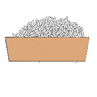 FoodNotes strainer grennn zeef rijstzeef Sticker