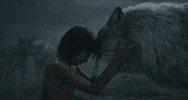 jon favreau disney GIF by Disney's The Jungle Book