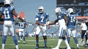 Regular Season Football GIF by NFL
