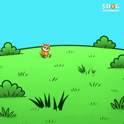 Dog Army GIF by $DOG