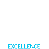 Values Excellence Sticker by DCS Group