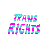 Human Rights Trans Sticker