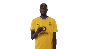 Serhou Guirassy Yawn Sticker by Bundesliga
