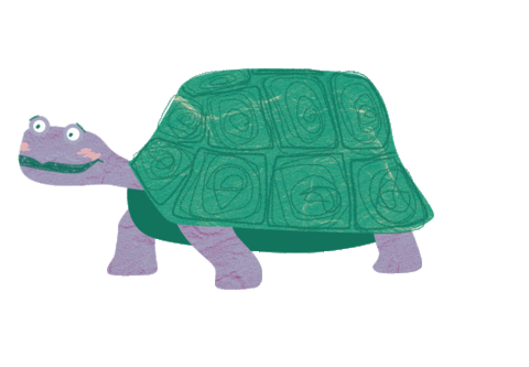 Turtle Shell Sticker by The Explainer Studio