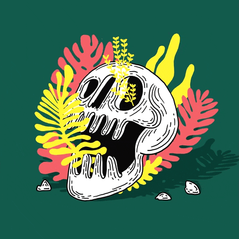 Skull Death GIF by Rafael Alejandro