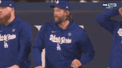 Celebrate World Series GIF by MLB