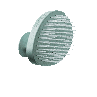 Scalp Care Sticker by Aveda Florida