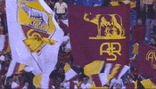 curva sud football GIF by AS Roma