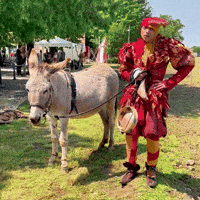 Festa Medioevo GIF by Nespolo Giullare