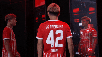 Sc Freiburg Scf GIF by Bundesliga