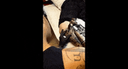 GIF by Mashable