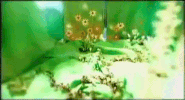 k-pop GIF