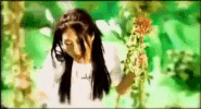 k-pop GIF