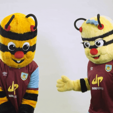 Premier League Party GIF by Burnley Football Club