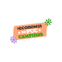 PUC-Campinas economia puc pucc puc-campinas Sticker