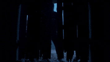 Horror Madelainepetsch GIF by Lionsgate