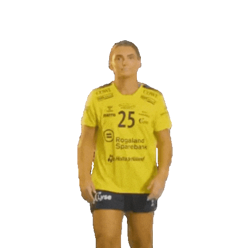 Rema1000Ligaen Sticker by Norsk Topphåndball