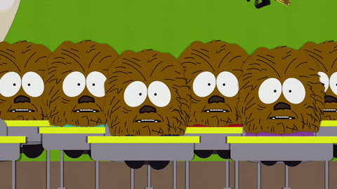 chewbacca GIF by South Park 