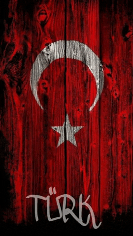 Turkiye Cumhuriyeti Turk GIF by sepulchral