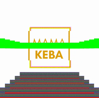 Mamakeba_com black owned business blackownedbusiness mamakebacom blackcommunity GIF