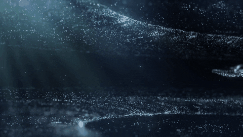 Credits Insult GIF by Smoke & Bacon Media LLC