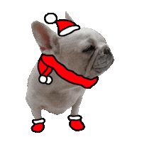 Dog Christmas Sticker