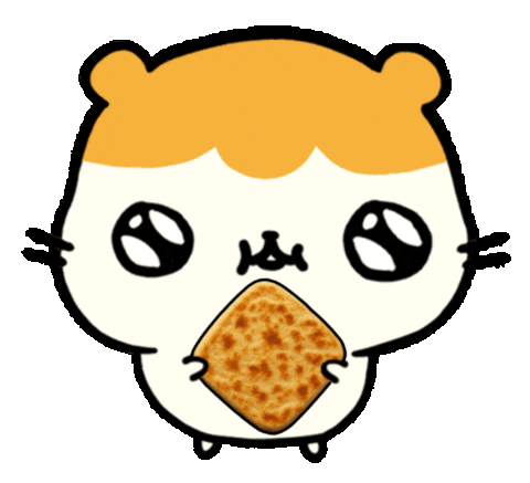 Hamster Morocco Sticker