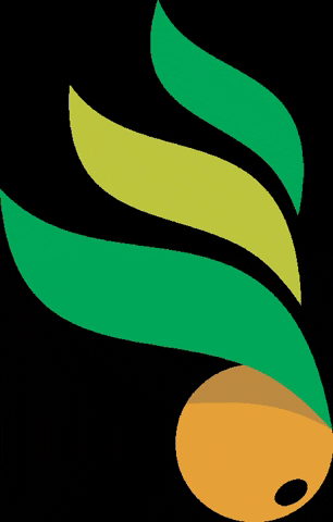 kesoja giphygifmaker GIF